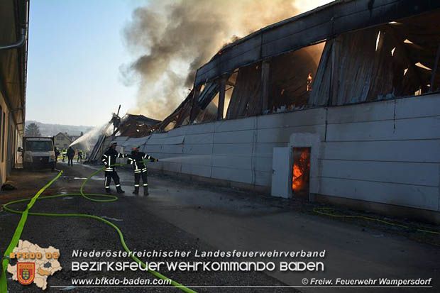 20170122 Großbrand bei Logistik Unternehmen in Wimpassing a.d.Leitha Bgld. Foto: © FF Wampersdorf / Christian Blüml 20170122 Großbrand bei Logistik Unternehmen in Wimpassing a.d.Leitha Bgld. Foto: © FF Wampersdorf / Christian Blüml