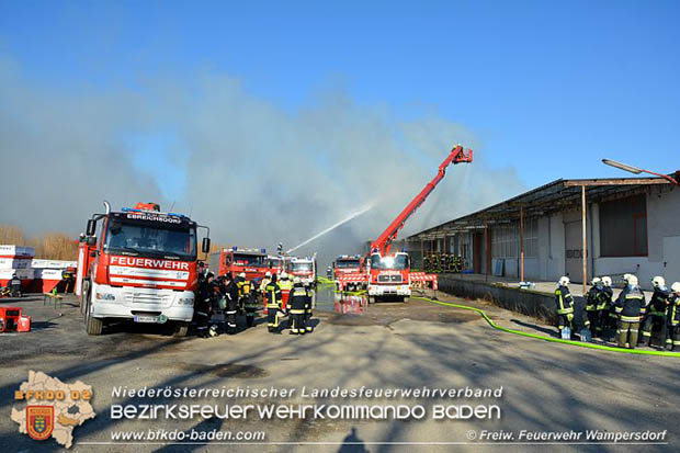 20170122 Großbrand bei Logistik Unternehmen in Wimpassing a.d.Leitha Bgld. Foto: © FF Wampersdorf / Christian Blüml 20170122 Großbrand bei Logistik Unternehmen in Wimpassing a.d.Leitha Bgld. Foto: © FF Wampersdorf / Christian Blüml