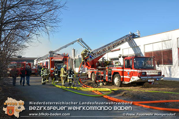 20170122 Großbrand bei Logistik Unternehmen in Wimpassing a.d.Leitha Bgld. Foto: © FF Wampersdorf / Christian Blüml 20170122 Großbrand bei Logistik Unternehmen in Wimpassing a.d.Leitha Bgld. Foto: © FF Wampersdorf / Christian Blüml
