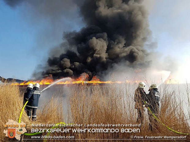 20170122 Großbrand bei Logistik Unternehmen in Wimpassing a.d.Leitha Bgld. Foto: © FF Wampersdorf / Christian Blüml 20170122 Großbrand bei Logistik Unternehmen in Wimpassing a.d.Leitha Bgld. Foto: © FF Wampersdorf / Christian Blüml