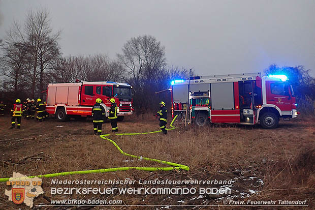 20170128 Brand eines Grünschnitthaufen in Tattendorf  Foto: © Freiwillige Feuerwehr Tattendorf / Christoph Matoschitz