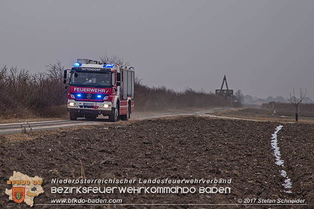 20170128 Brand eines Grünschnitthaufen in Tattendorf  Foto: © Stefan Schneider BFK Presseteam