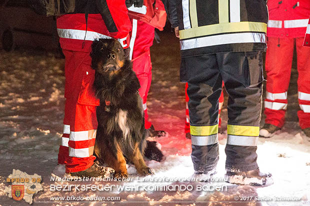 20170201 Suchaktion nach 22-jaehrigen Mann in Pottendorf Foto: Stefan Schneider BFK Baden 20170201 Suchaktion nach 22-jaehrigen Mann in Pottendorf Foto: Stefan Schneider BFK Baden