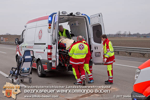 20170210 Massenunfall auf der A2 Südautobahn RFb Wien Foto: © Stefan Schneider BFK Baden