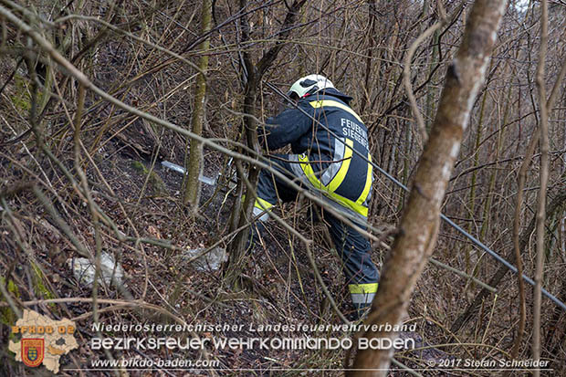 20170305 Feuerwehreinsatz nach Steinschlag im Helenental  Foto: © Stefan Schneider