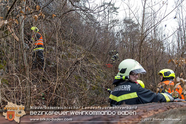 20170305 Feuerwehreinsatz nach Steinschlag im Helenental  Foto: © Stefan Schneider