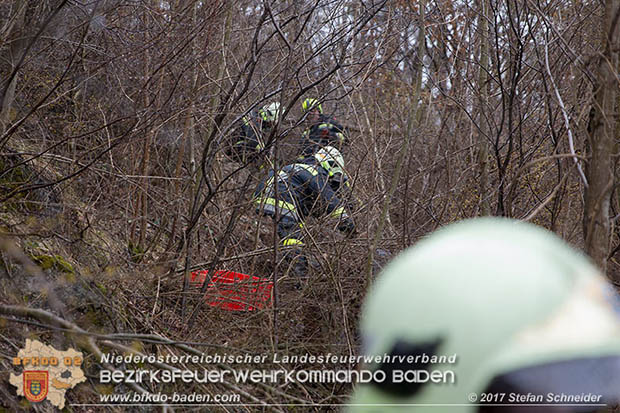 20170305 Feuerwehreinsatz nach Steinschlag im Helenental  Foto: © Stefan Schneider