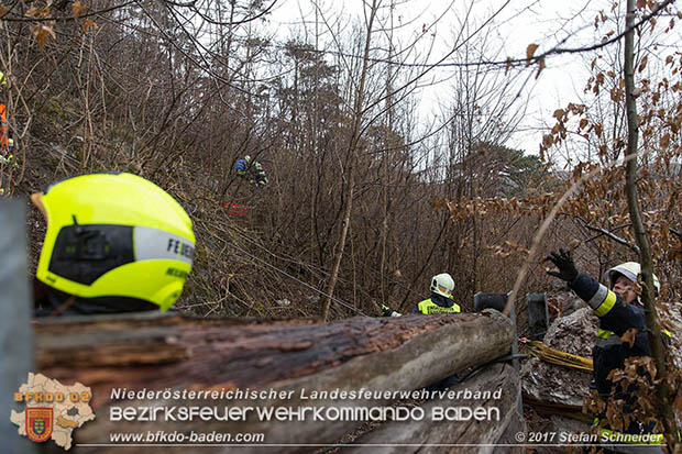 20170305 Feuerwehreinsatz nach Steinschlag im Helenental  Foto: © Stefan Schneider