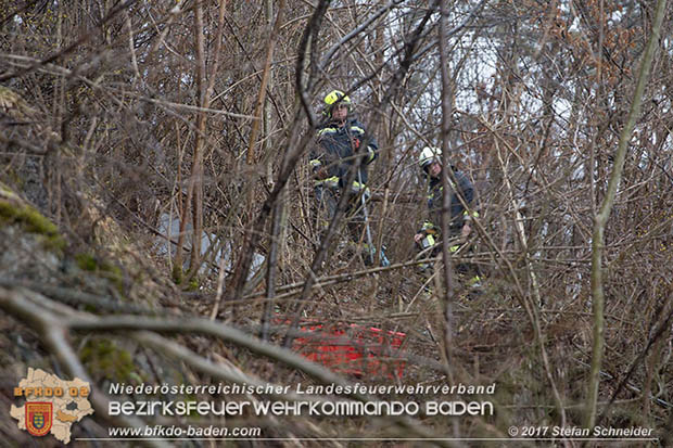 20170305 Feuerwehreinsatz nach Steinschlag im Helenental  Foto: © Stefan Schneider