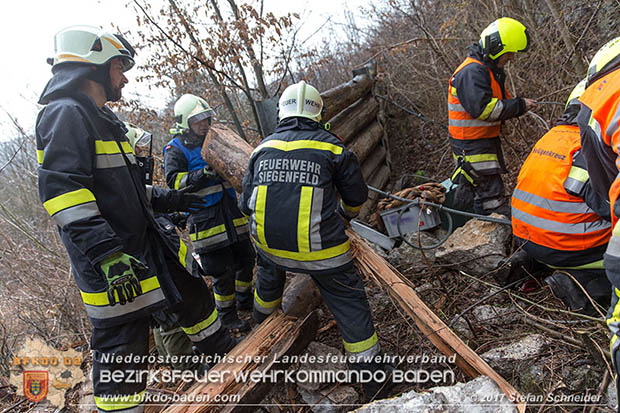 20170305 Feuerwehreinsatz nach Steinschlag im Helenental  Foto: © Stefan Schneider