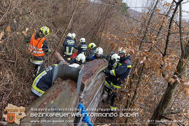 20170305 Feuerwehreinsatz nach Steinschlag im Helenental  Foto: © Stefan Schneider