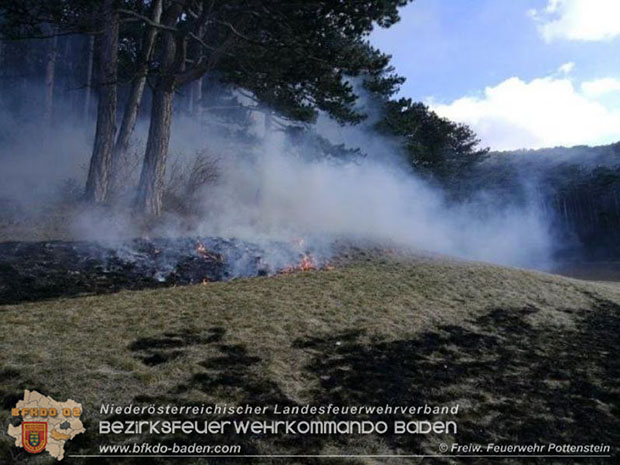 20170307 Flurbrand auf der "Popp-Wiese" in Pottenstein  Foto: © FF Pottenstein