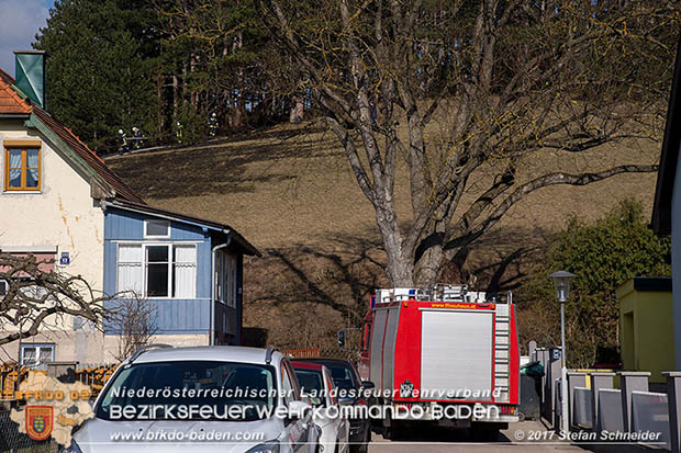 20170307 Flurbrand auf der "Popp-Wiese" in Pottenstein Foto: © Stefan Schneider BFK Baden 20170307 Flurbrand auf der "Popp-Wiese" in Pottenstein Foto: © Stefan Schneider BFK Baden