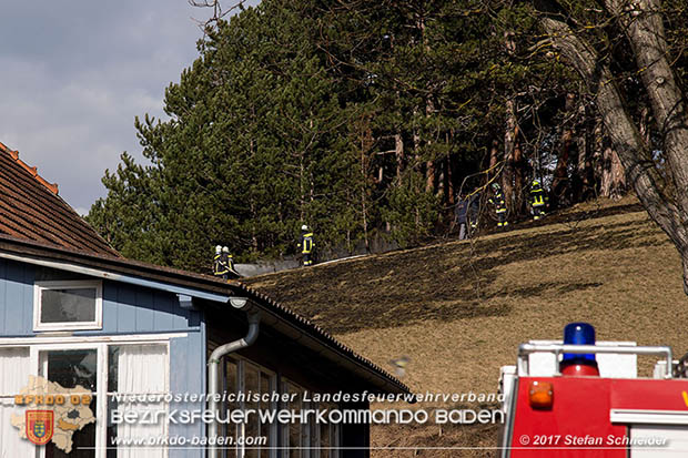 20170307 Flurbrand auf der "Popp-Wiese" in Pottenstein Foto: © Stefan Schneider BFK Baden 20170307 Flurbrand auf der "Popp-Wiese" in Pottenstein Foto: © Stefan Schneider BFK Baden