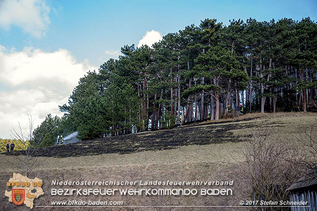 20170307 Flurbrand auf der "Popp-Wiese" in Pottenstein Foto: © Stefan Schneider BFK Baden 20170307 Flurbrand auf der "Popp-Wiese" in Pottenstein Foto: © Stefan Schneider BFK Baden
