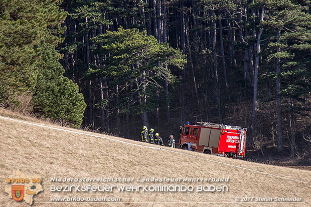 20170307 Flurbrand auf der "Popp-Wiese" in Pottenstein Foto: © Stefan Schneider BFK Baden 20170307 Flurbrand auf der "Popp-Wiese" in Pottenstein Foto: © Stefan Schneider BFK Baden