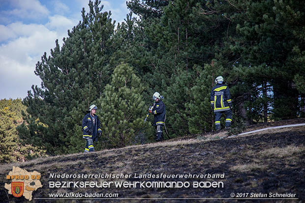 20170307 Flurbrand auf der "Popp-Wiese" in Pottenstein Foto: © Stefan Schneider BFK Baden 20170307 Flurbrand auf der "Popp-Wiese" in Pottenstein Foto: © Stefan Schneider BFK Baden