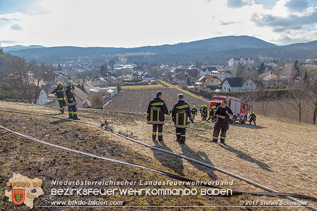 20170307 Flurbrand auf der "Popp-Wiese" in Pottenstein Foto: © Stefan Schneider BFK Baden 20170307 Flurbrand auf der "Popp-Wiese" in Pottenstein Foto: © Stefan Schneider BFK Baden