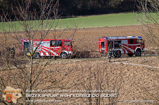 20170307 Flurbrand auf der "Popp-Wiese" in Pottenstein Foto: © Stefan Schneider BFK Baden 20170307 Flurbrand auf der "Popp-Wiese" in Pottenstein Foto: © Stefan Schneider BFK Baden
