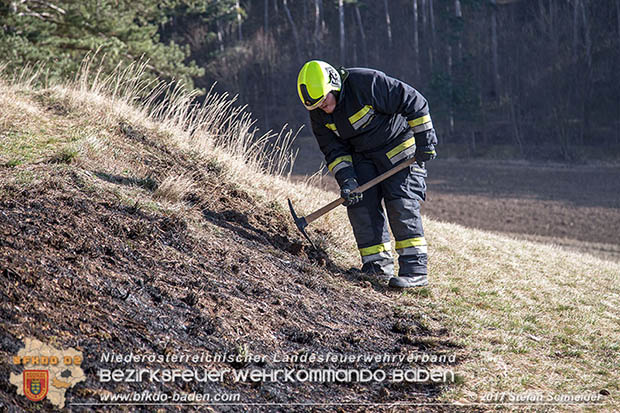 20170307 Flurbrand auf der "Popp-Wiese" in Pottenstein Foto: © Stefan Schneider BFK Baden 20170307 Flurbrand auf der "Popp-Wiese" in Pottenstein Foto: © Stefan Schneider BFK Baden