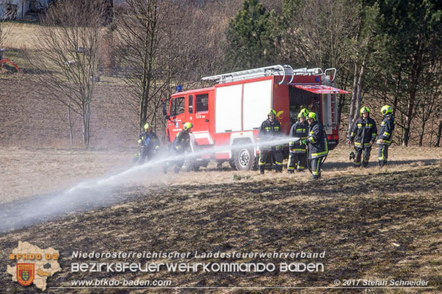20170307 Flurbrand auf der "Popp-Wiese" in Pottenstein Foto: © Stefan Schneider BFK Baden 20170307 Flurbrand auf der "Popp-Wiese" in Pottenstein Foto: © Stefan Schneider BFK Baden