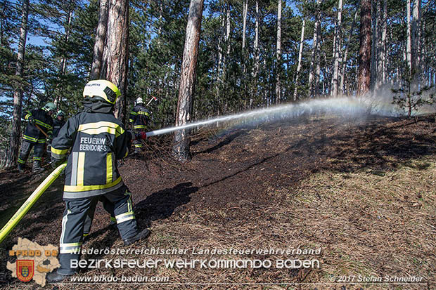 20170307 Flurbrand auf der "Popp-Wiese" in Pottenstein Foto: © Stefan Schneider BFK Baden 20170307 Flurbrand auf der "Popp-Wiese" in Pottenstein Foto: © Stefan Schneider BFK Baden