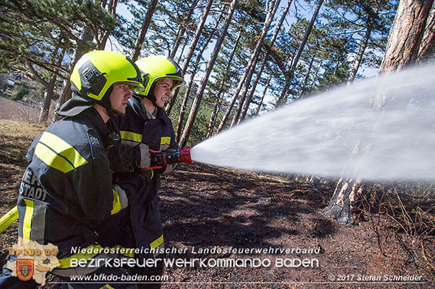 20170307 Flurbrand auf der "Popp-Wiese" in Pottenstein Foto: © Stefan Schneider BFK Baden 20170307 Flurbrand auf der "Popp-Wiese" in Pottenstein Foto: © Stefan Schneider BFK Baden