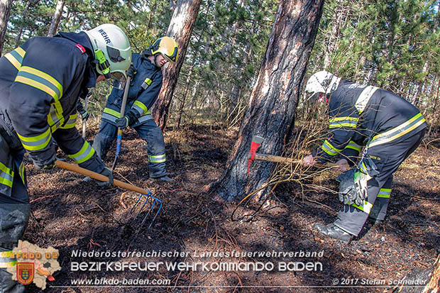 20170307 Flurbrand auf der "Popp-Wiese" in Pottenstein Foto: © Stefan Schneider BFK Baden 20170307 Flurbrand auf der "Popp-Wiese" in Pottenstein Foto: © Stefan Schneider BFK Baden