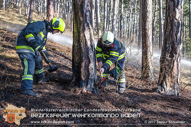 20170307 Flurbrand auf der "Popp-Wiese" in Pottenstein Foto: © Stefan Schneider BFK Baden 20170307 Flurbrand auf der "Popp-Wiese" in Pottenstein Foto: © Stefan Schneider BFK Baden