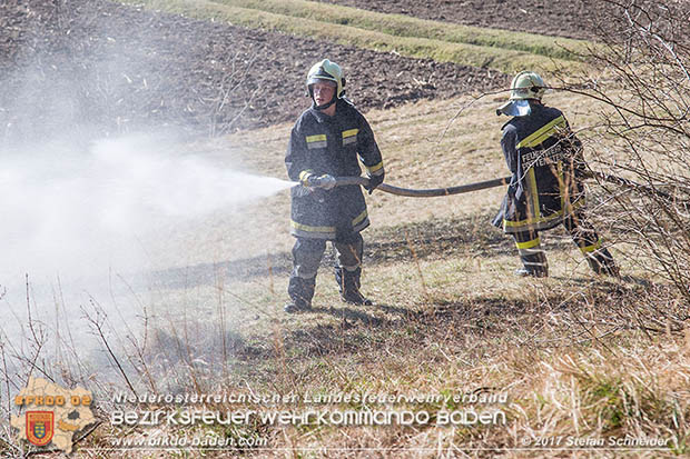 20170307 Flurbrand auf der "Popp-Wiese" in Pottenstein Foto: © Stefan Schneider BFK Baden 20170307 Flurbrand auf der "Popp-Wiese" in Pottenstein Foto: © Stefan Schneider BFK Baden