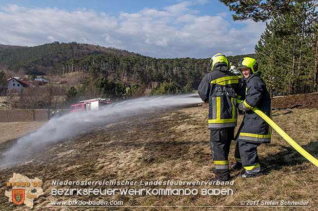 20170307 Flurbrand auf der "Popp-Wiese" in Pottenstein Foto: © Stefan Schneider BFK Baden 20170307 Flurbrand auf der "Popp-Wiese" in Pottenstein Foto: © Stefan Schneider BFK Baden