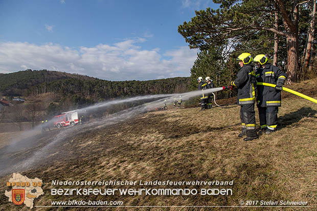 20170307 Flurbrand auf der "Popp-Wiese" in Pottenstein Foto: © Stefan Schneider BFK Baden 20170307 Flurbrand auf der "Popp-Wiese" in Pottenstein Foto: © Stefan Schneider BFK Baden