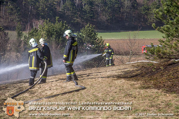 20170307 Flurbrand auf der "Popp-Wiese" in Pottenstein Foto: © Stefan Schneider BFK Baden 20170307 Flurbrand auf der "Popp-Wiese" in Pottenstein Foto: © Stefan Schneider BFK Baden