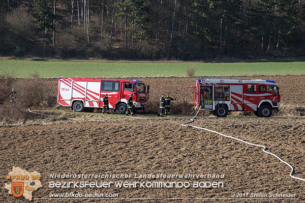 20170307 Flurbrand auf der "Popp-Wiese" in Pottenstein Foto: © Stefan Schneider BFK Baden 20170307 Flurbrand auf der "Popp-Wiese" in Pottenstein Foto: © Stefan Schneider BFK Baden