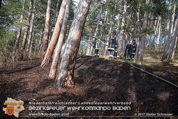 20170307 Flurbrand auf der "Popp-Wiese" in Pottenstein Foto: © Stefan Schneider BFK Baden 20170307 Flurbrand auf der "Popp-Wiese" in Pottenstein Foto: © Stefan Schneider BFK Baden