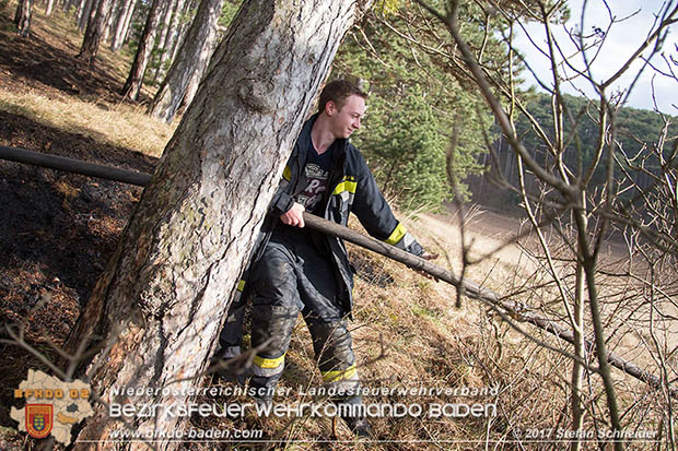 20170307 Flurbrand auf der "Popp-Wiese" in Pottenstein Foto: © Stefan Schneider BFK Baden 20170307 Flurbrand auf der "Popp-Wiese" in Pottenstein Foto: © Stefan Schneider BFK Baden
