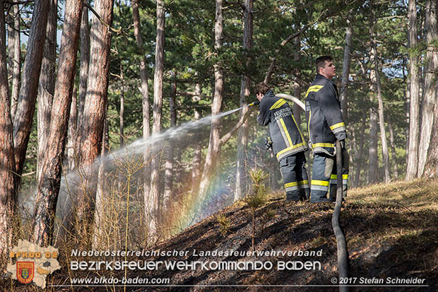 20170307 Flurbrand auf der "Popp-Wiese" in Pottenstein Foto: © Stefan Schneider BFK Baden 20170307 Flurbrand auf der "Popp-Wiese" in Pottenstein Foto: © Stefan Schneider BFK Baden