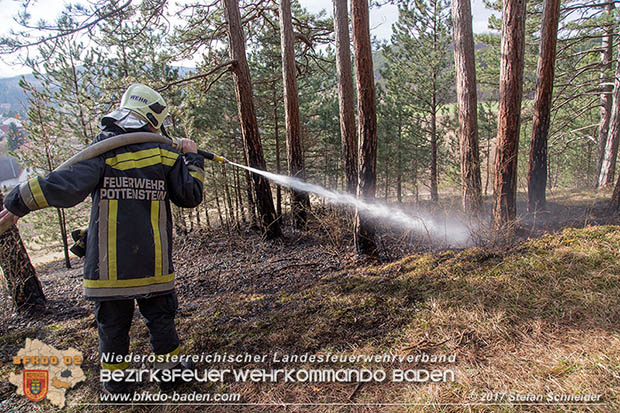 20170307 Flurbrand auf der "Popp-Wiese" in Pottenstein Foto: © Stefan Schneider BFK Baden 20170307 Flurbrand auf der "Popp-Wiese" in Pottenstein Foto: © Stefan Schneider BFK Baden