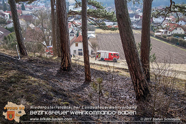 20170307 Flurbrand auf der "Popp-Wiese" in Pottenstein Foto: © Stefan Schneider BFK Baden 20170307 Flurbrand auf der "Popp-Wiese" in Pottenstein Foto: © Stefan Schneider BFK Baden