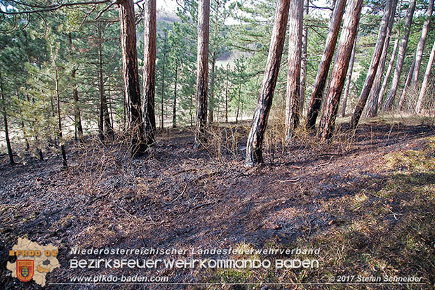 20170307 Flurbrand auf der "Popp-Wiese" in Pottenstein Foto: © Stefan Schneider BFK Baden 20170307 Flurbrand auf der "Popp-Wiese" in Pottenstein Foto: © Stefan Schneider BFK Baden