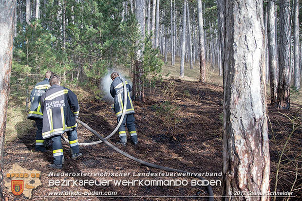 20170307 Flurbrand auf der "Popp-Wiese" in Pottenstein Foto: © Stefan Schneider BFK Baden 20170307 Flurbrand auf der "Popp-Wiese" in Pottenstein Foto: © Stefan Schneider BFK Baden