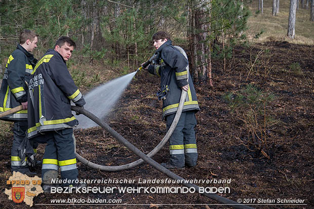 20170307 Flurbrand auf der "Popp-Wiese" in Pottenstein Foto: © Stefan Schneider BFK Baden 20170307 Flurbrand auf der "Popp-Wiese" in Pottenstein Foto: © Stefan Schneider BFK Baden