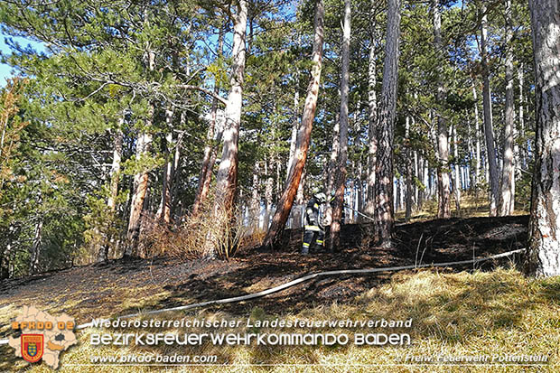20170307 Flurbrand auf der "Popp-Wiese" in Pottenstein  Foto: © FF Pottenstein