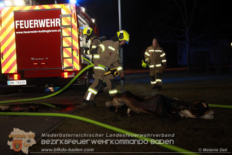 20170309 Zimmerbrand Kottingbrunn - Foto Melanie Deli