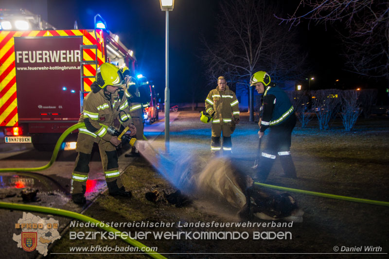 20170309 Zimmerbrand Kottingbrunn - Foto Daniel Wirth