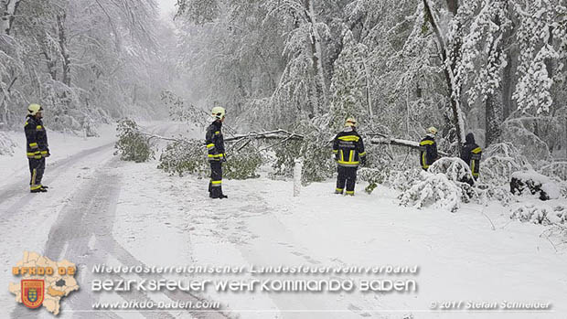 20170419 Sperre der L4010 zwischen Gaaden und Einöde Pfaffstätten Foto: © Stefan Schneider BFK Baden 20170419 Sperre der L4010 zwischen Gaaden und Einöde Pfaffstätten Foto: © Stefan Schneider BFK Baden