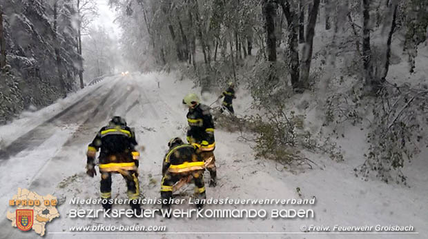 20170419 mehrere umgestürzte Bäume auf der LB210 im Helenental - Foto: © FF Groisbach