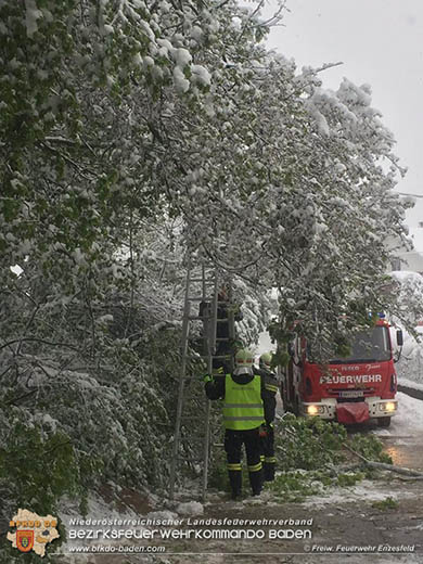 20170420 Großes Aufräumen nach dem Schneechaos auch im Triestingtal Foto: © FF Enzesfeld 20170420 Großes Aufräumen nach dem Schneechaos auch im Triestingtal Foto: © FF Enzesfeld