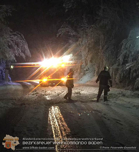20170420 Großes Aufräumen nach dem Schneechaos auch im Triestingtal  Foto: © FF Enzesfeld