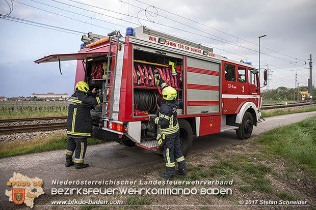 20170507 Brand mehrerer Strohballen direkt neben Windschutzguertel in Tribuswinkel  Foto: © Stefan Schneider